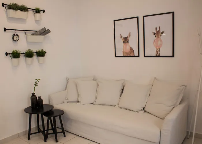 Super Stylish Apartments In Syntagma Square!